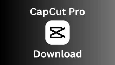 CapCut Pro Mod APK!