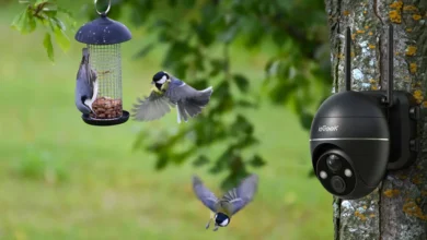 Bird Feeder Cameras