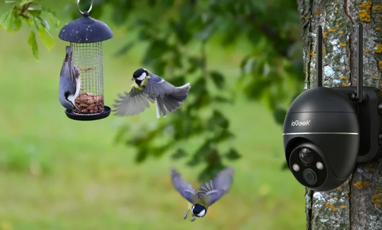 Bird Feeder Cameras