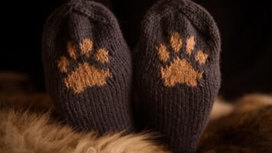 Cat Paw Socks for Kids A Complete Guide