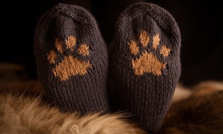 Cat Paw Socks for Kids A Complete Guide